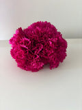 FLOR FUCSIA